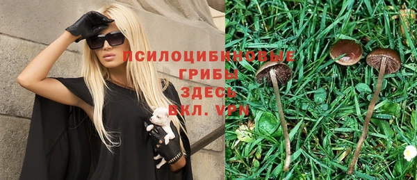 мдма Вяземский