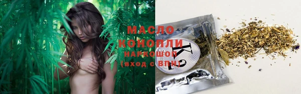 индика Володарск