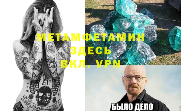 индика Володарск