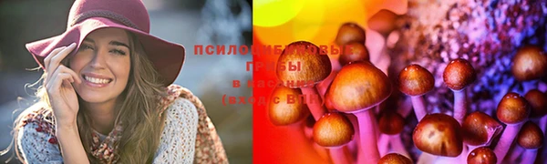индика Володарск