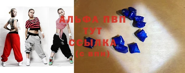 сатива Вязники