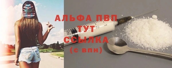 индика Володарск