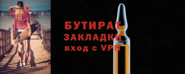 индика Володарск