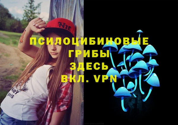 сатива Вязники