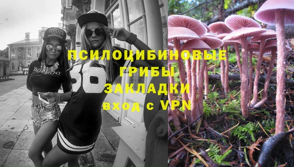 сатива Вязники