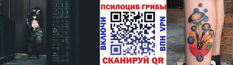 Псилоцибиновые грибы Cubensis  купить   Норильск 