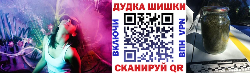 KRAKEN онион  Норильск  Каннабис сатива 